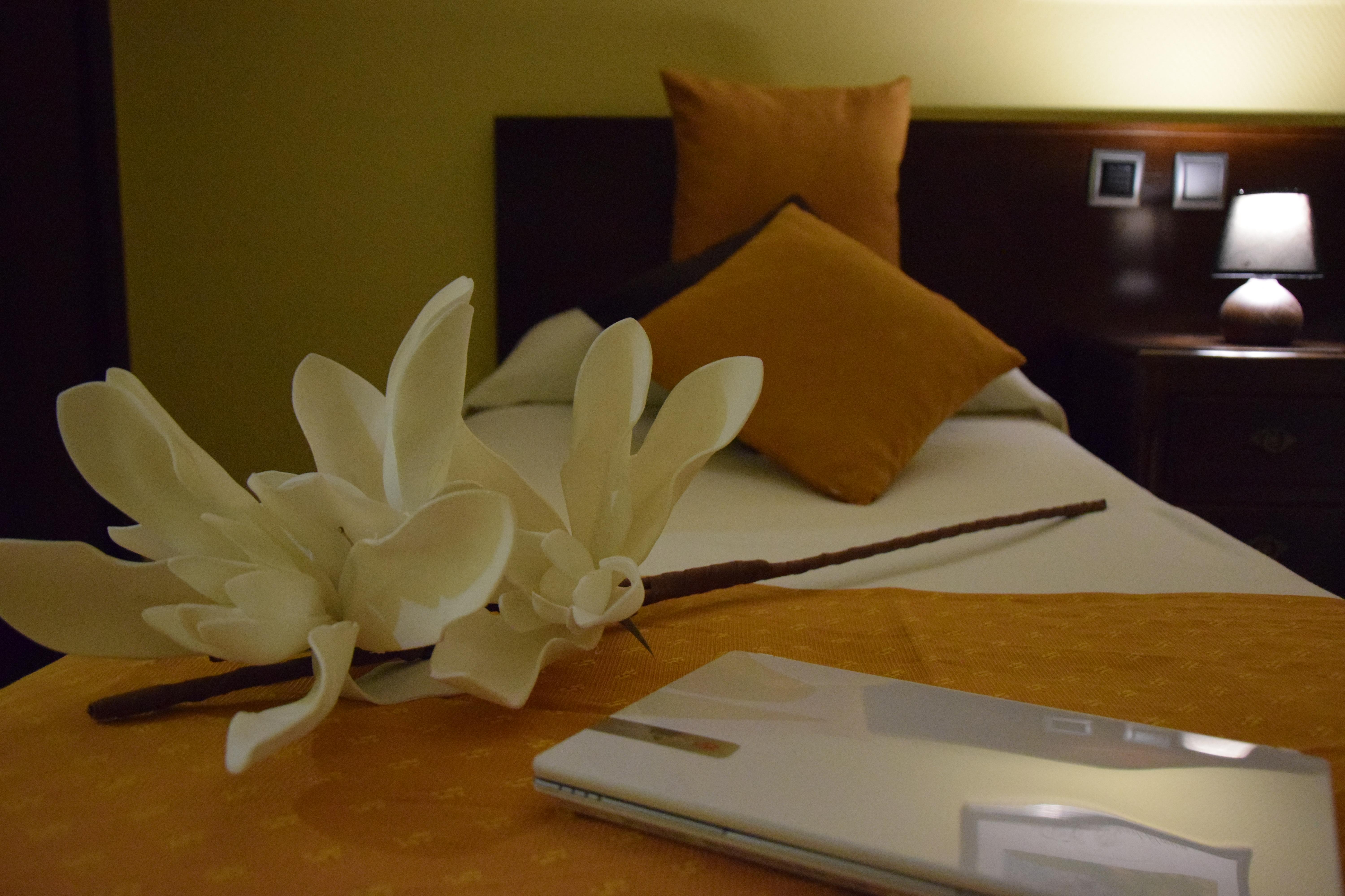 Hotel Complutense Алькала-де-Энарес Экстерьер фото